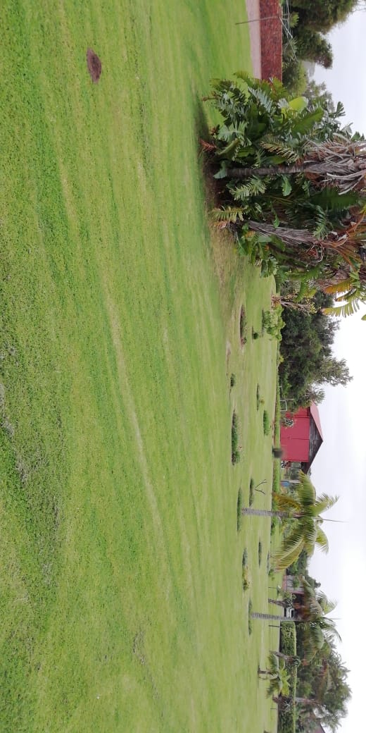 Commercial Property for Sale in Kabeljauws Eastern Cape